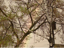 Q 00.jpg