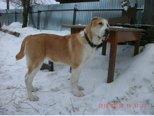 IMG 20160811 173933 49.jpg