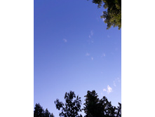 20160814 182045.jpg