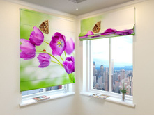 ����� �������.jpg