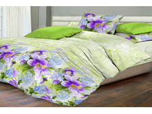 ������ �����