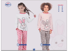 ������ 9011.png