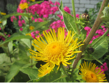 ����� 029.jpg