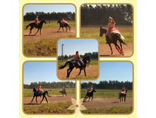 Phototastic-28 08 2016 8c8a7d90-7004-488f-8689-9cccd22a8e06.jpg