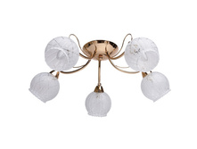 358018505 1700�.jpg