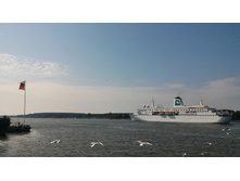 P 20160626 113231.jpg