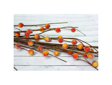 ������� Scrapberrys � ������-������� ������� � �������, 40�� 75���