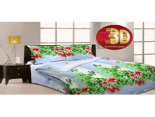 ����������� ���2