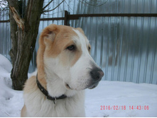 IMG 20160811 173907 43.jpg