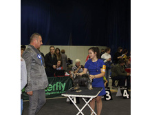 12234899 1936045733287203 574481783132911418 n.jpg