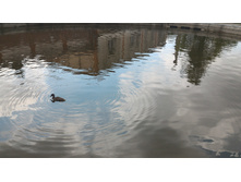 P 20160621 105830 HDR.jpg