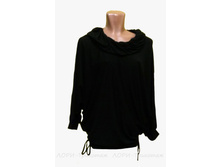 ������ SV041.2