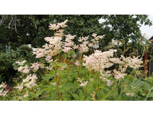 ������� ( �������� ) ������� '������� ����������.