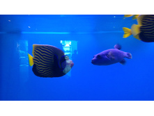 P 20160622 101541.jpg