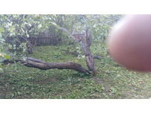 20160827 181747.jpg