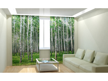 ��������� ����.jpg