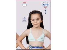 ������ 4352.png