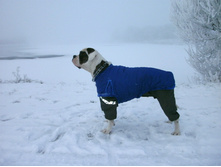 IMG 20160811 174653 41.jpg