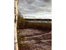 IMG 20160828 180630.jpg