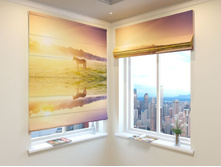 ������ �� ����.jpg