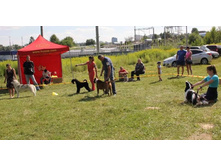 11781799 1886762518215525 1522057725490918556 n.jpg