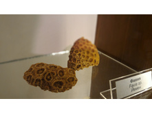 P 20160622 130919 DF.jpg