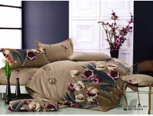 355 ��������