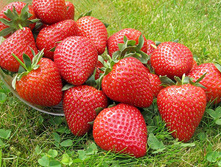 ��������� ������� 50���..jpg