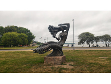 P 20160626 202459.jpg