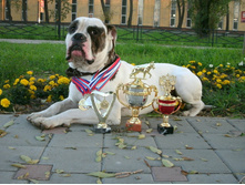 IMG 20160811 174642 36.jpg