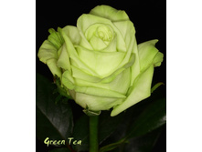 ������� ��� (���� ��).jpg