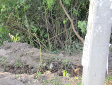 ������ 831.jpg