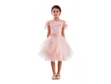 ������ 1*46-G-B.jpg