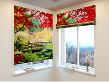 ���� � ����.jpg