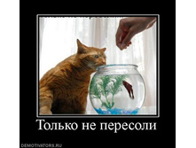 �� ��������)