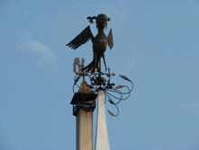 IMG 6642.JPG