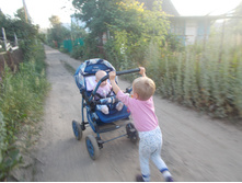 ������ ���������