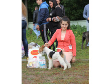 11988730 1907920502766393 3665201483214284104 n.jpg