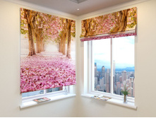 ��������� �����.jpg