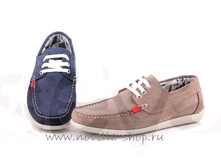 364 CS 3650 ���.