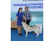 12096561 1921356758089434 1858915846215752823 n.jpg