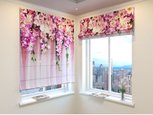 ��������� �������.jpg