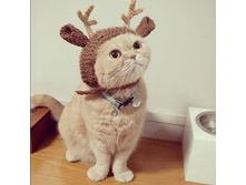 ������ �����)