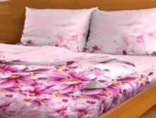 ��������� ����