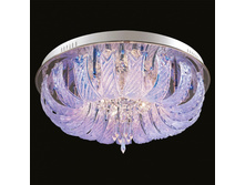 366010312 7100�.jpg