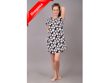 �0043, 250���, 42-56��.