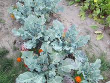 ������ 719.jpg