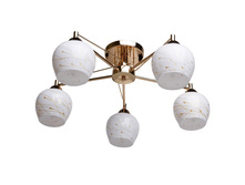 358018305 2100�.jpg