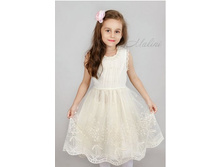 NKD11893_1340 ���.