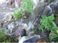 ������� � ��������